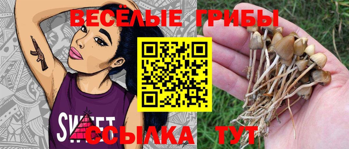 Псилоцибиновые грибы Psilocybine cubensis  Вход с VPN  Чита  Галлюциногенные грибы GOLDEN TEACHER 